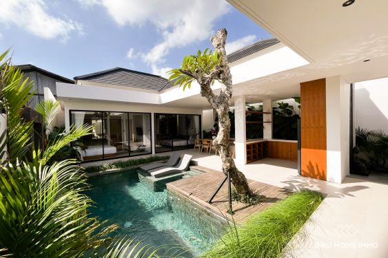 Image 2 from Brand New 2 Bedroom Villa for sale in North Canggu Bali