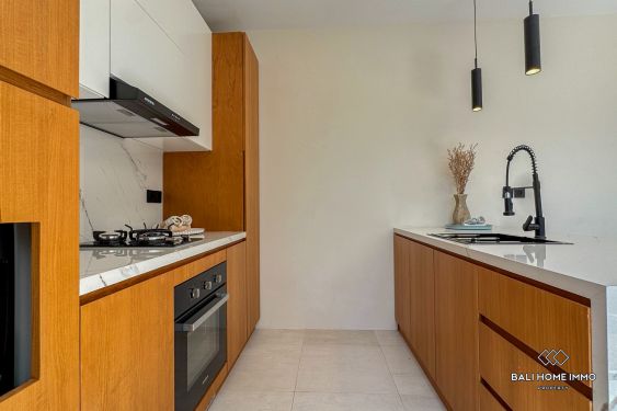 Image 11 from Brand New 2 bedroom villa for sale leasehold in Bali Canggu - Berawa