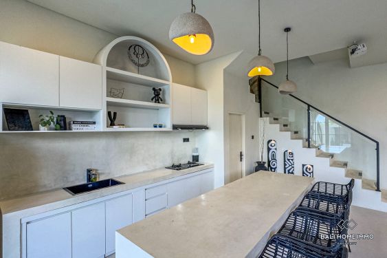 Image 10 from Brand new 2 Bedroom villa for sale and rent in Bali Canggu Berawa