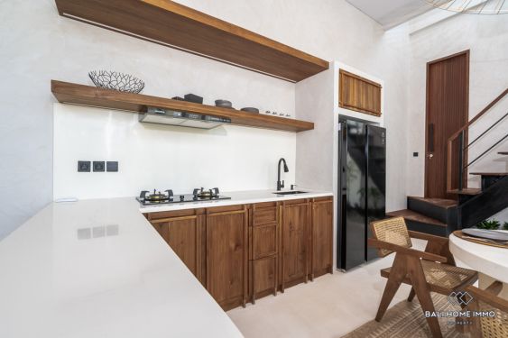 Image 10 from Villa 2 Kamar Tidur Baru Disewakan di Babakan Canggu Bali