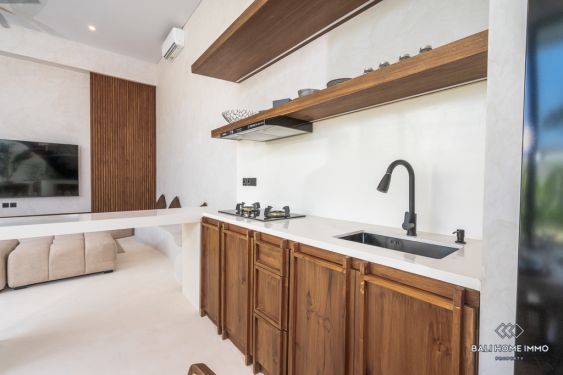 Image 9 from Villa 2 Kamar Tidur Baru Disewakan di Babakan Canggu Bali