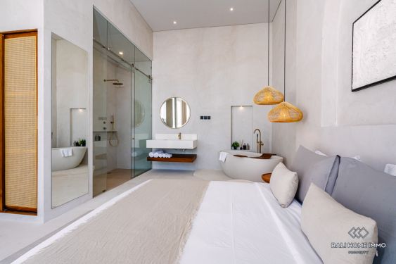 Image 16 from Villa 2 Kamar Tidur Baru Disewakan di Babakan Canggu Bali