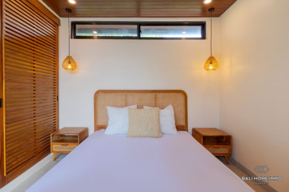 Image 15 from Brand New 2 Bedroom Villa for Sale and Rent in Bali Canggu Babakan