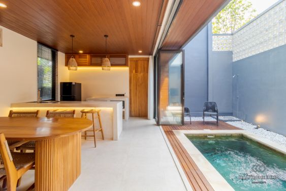 Image 6 from Brand New 2 Bedroom Villa for Sale and Rent in Bali Canggu Babakan