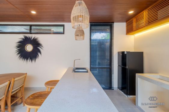 Image 11 from Brand New 2 Bedroom Villa for Sale and Rent in Bali Canggu Babakan