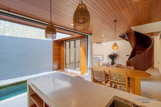 Image 10 from Brand New 2 Bedroom Villa for Sale and Rent in Bali Canggu Babakan
