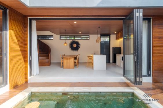 Image 2 from Villa 2 Kamar Baru Dijual dan Disewakan di Babakan Canggu Bali