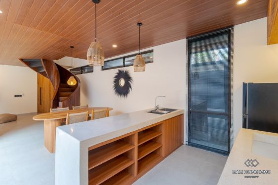 Image 9 from Brand New 2 Bedroom Villa for Sale and Rent in Bali Canggu Babakan