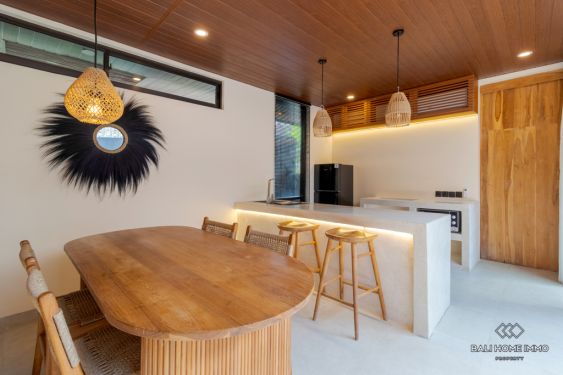 Image 8 from Brand New 2 Bedroom Villa for Sale and Rent in Bali Canggu Babakan