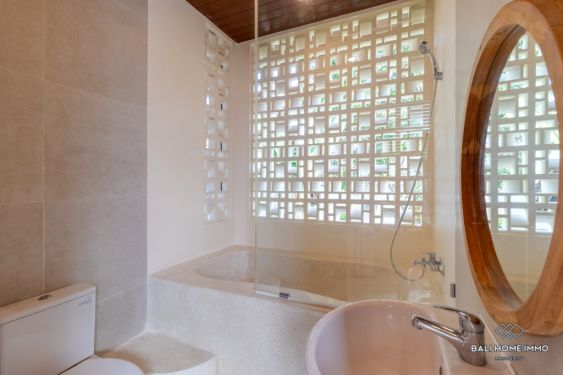 Image 18 from Brand New 2 Bedroom Villa for Sale and Rent in Bali Canggu Babakan