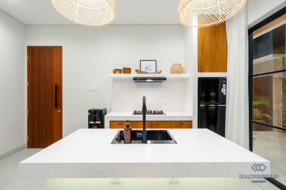 Image 8 from Brand New 2 Bedroom Villa for Sale Leasehold in Bali Canggu Residential Side