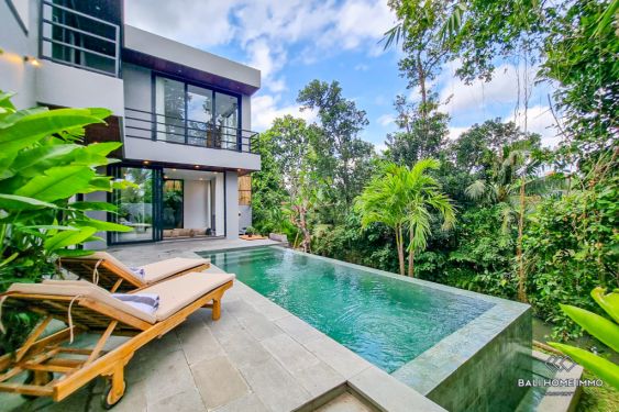 Image 1 from Brand new 2 Bedroom Villa for Sale Leasehold in Bali Cepaka