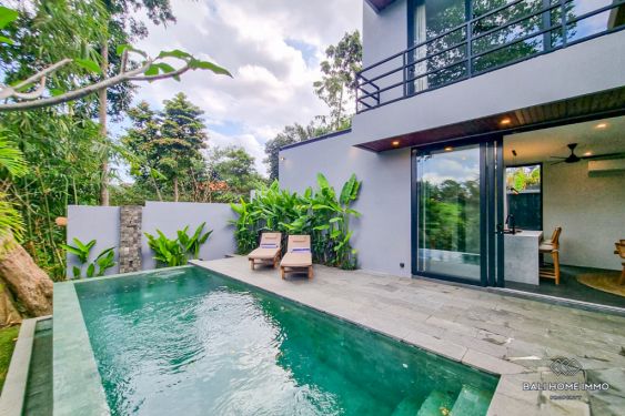 Image 2 from Brand new 2 Bedroom Villa for Sale Leasehold in Bali Cepaka