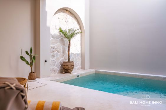 Image 17 from Brand New 2 bedroom Villa for sale leasehold in Bali - Pererenan