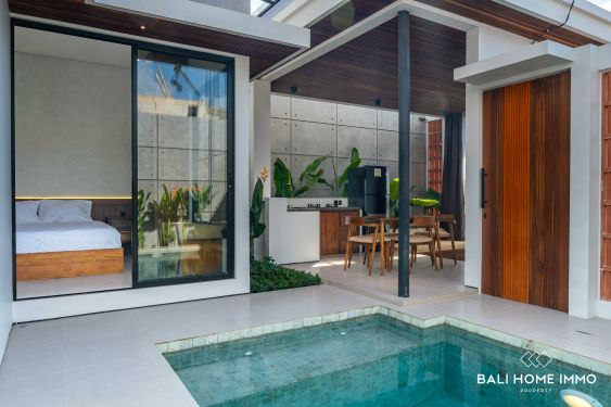 Image 1 from Brand new 2 Bedroom Villa for Sale Leasehold in Bali Seminyak