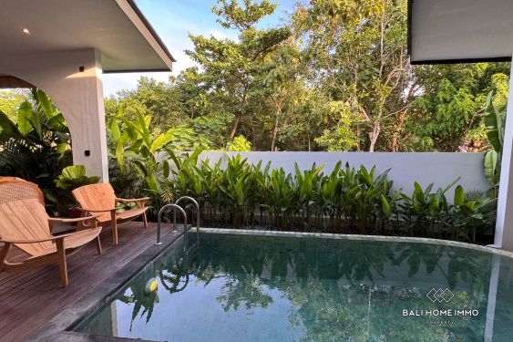Image 3 from Brand New 2 Bedroom Villa for Sale Leasehold in Bali Uluwatu near Nyang Nyang Beach