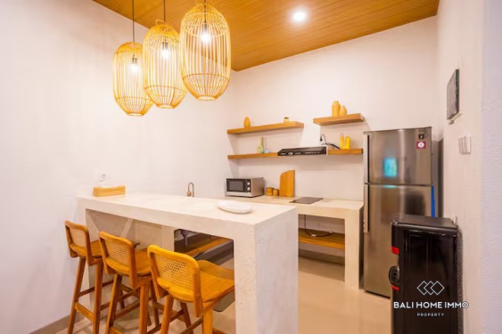 Image 6 from Villa 2 Kamar baru Disewakan Jangka Panjang di Kerobokan Bali