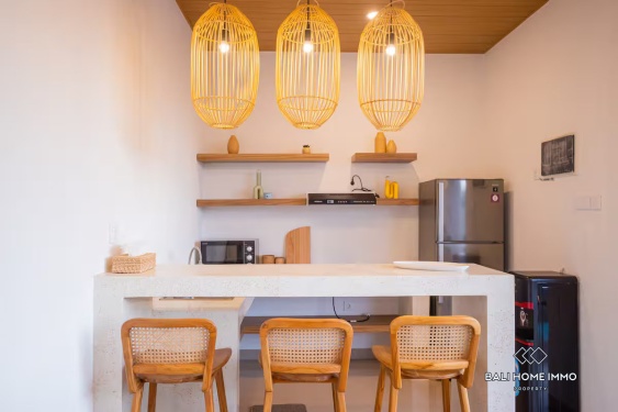 Image 7 from Villa 2 Kamar baru Disewakan Jangka Panjang di Kerobokan Bali