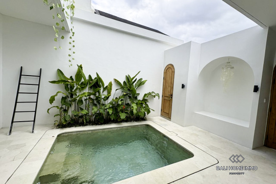 Image 16 from Brand new 2 Bedroom Villa For Sale Leasehold Near Lima Beach Pererenan Bali