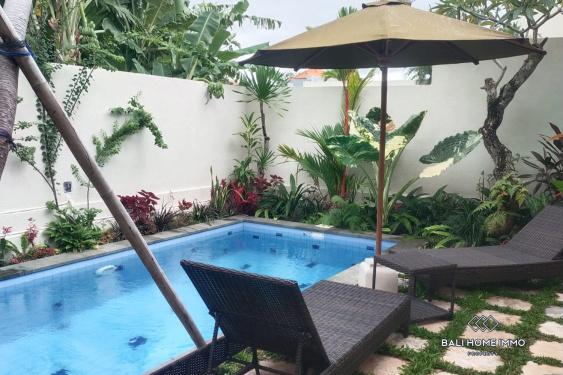 Image 2 from Vila 2 Kamar Baru untuk Disewakan Tahunan di Bali Berawa