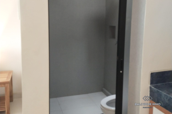 Image 10 from Brand New 2 Bedroom Villa for Yearly Rental in Bali Berawa