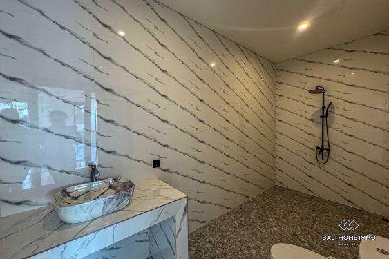 Image 12 from Villa neuve de 2 chambres à louer à l'année à Bali Canggu Babakan