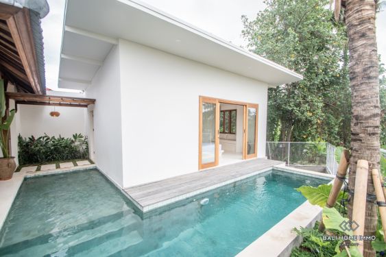 Image 6 from Villa 2 Kamar Disewakan di Bali Pererenan