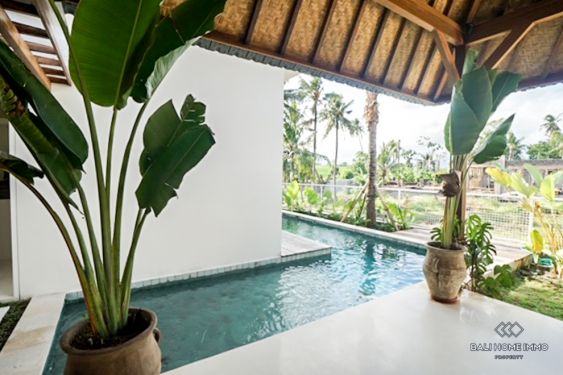 Image 8 from Villa 2 Kamar Disewakan di Bali Pererenan