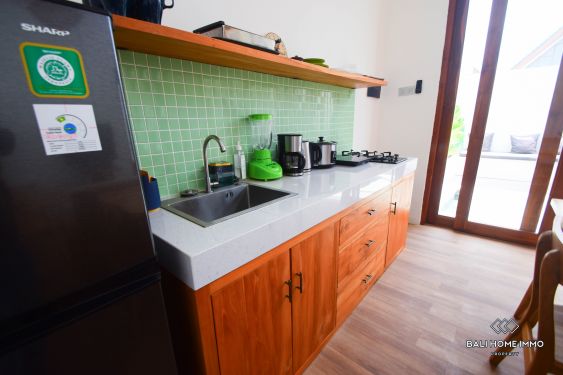 Image 8 from Vila baru dengan 2 Kamar dijual Di Kerobokan