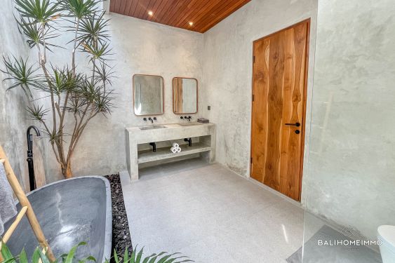 Image 17 from Villa neuve de 2 chambres à louer à Kerobokan