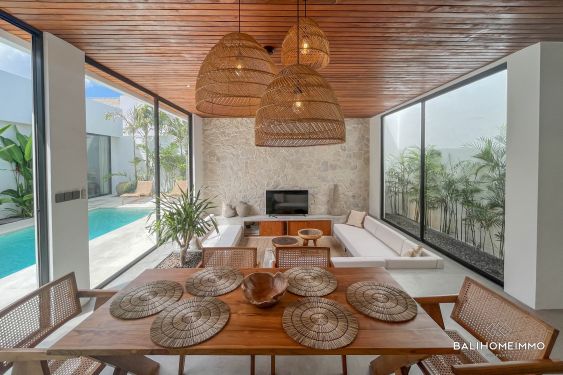 Image 7 from Villa neuve de 2 chambres à louer à Kerobokan