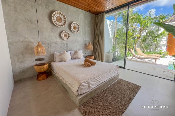 Image 14 from Villa neuve de 2 chambres à louer à Kerobokan