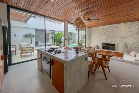 Image 10 from Villa neuve de 2 chambres à louer à Kerobokan