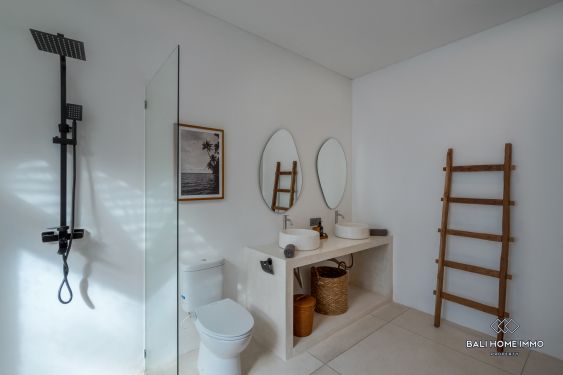 Image 10 from Brand New 2 bedrooms villa for sale in Bali Canggu Padonan