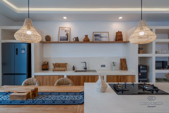 Image 5 from Brand New 2 bedrooms villa for sale in Bali Canggu Padonan