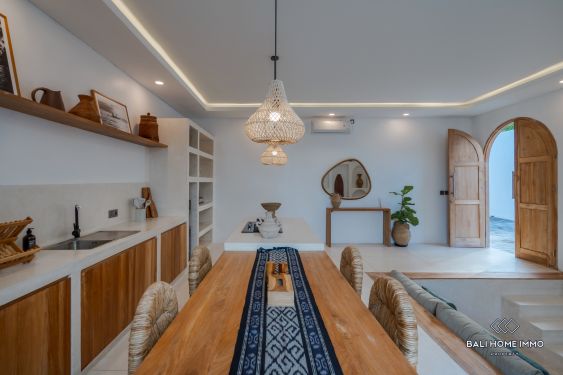 Image 6 from Brand New 2 bedrooms villa for sale in Bali Canggu Padonan
