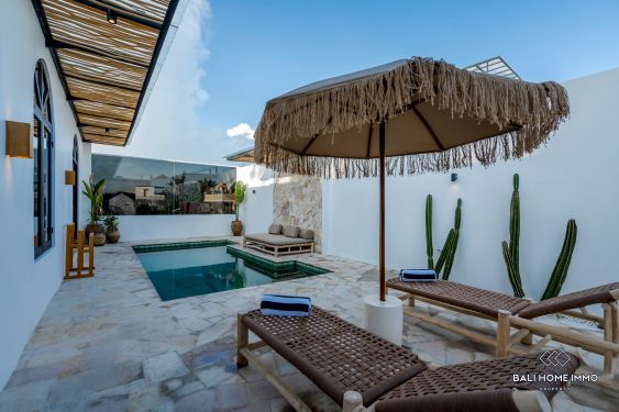 Image 14 from Brand New 2 bedrooms villa for sale in Bali Canggu Padonan