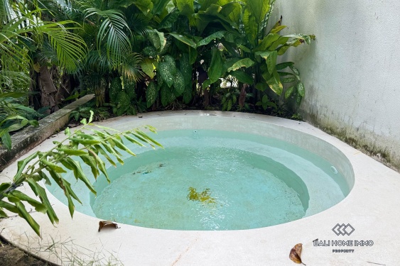 Image 14 from Villa neuve de 2 chambres à vendre et à louer à Ubud