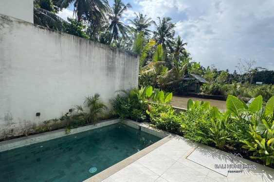 Image 13 from Villa neuve de 2 chambres à vendre et à louer à Ubud