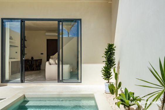 Image 1 from Brand new 2 bedrooms villa for sale and rent in Umalas