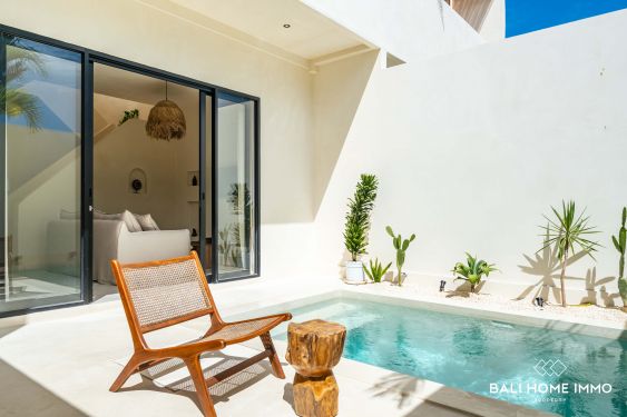 Image 2 from Brand new 2 bedrooms villa for sale and rent in Umalas