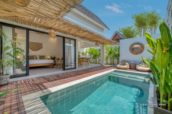 Image 12 from Villa neuve de 2 chambres à vendre et à louer à Seminyak, Bali