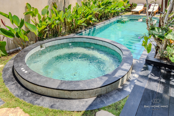 Image 9 from Brand new 2 Bedrooms villa for sale leasehold in Bali Canggu Babakan