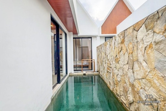 Brand New 2 Bedrooms villa for sale leasehold in Bali Kerobokan
