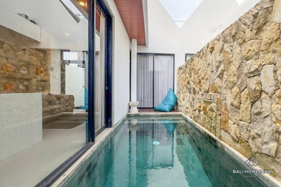 Brand New 2 Bedrooms villa for sale leasehold in Bali Kerobokan