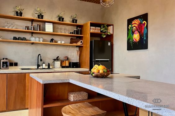 Image 4 from VILLA TOUT NEUF DE 2 CHAMBRES À VENDRE EN LOCATION À CANGGU BERAWA