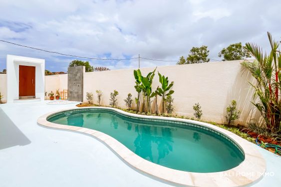 Image 3 from BRAND NEW 2 BEDROOMS VILLA FOR YEARLY & MONTHLY RENTAL IN BALI - UNGASAN