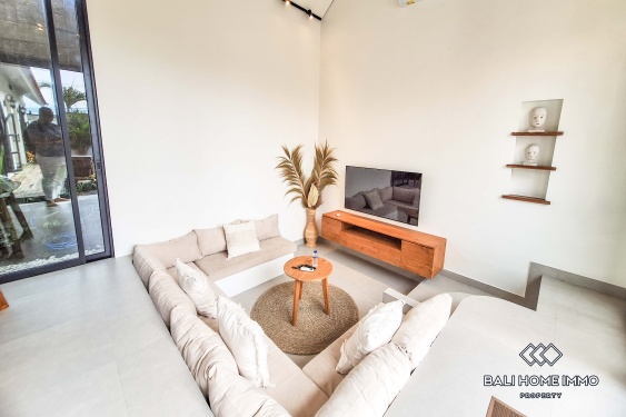 Image 3 from Brand New 3 Bedroom Family Villa For Rent In Canggu Residential Side