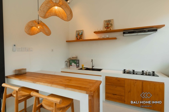 Image 8 from Villa familiale neuve de 3 chambres à louer dans le quartier résidentiel de Canggu