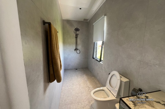 Image 19 from Villa modern baru dengan 3 kamar untuk dijual dan disewa di Ubud.